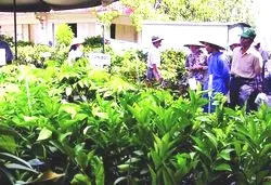 Bài 2 Giống cây trồng: Thả nổi quản lý, cam chịu nghịch lý